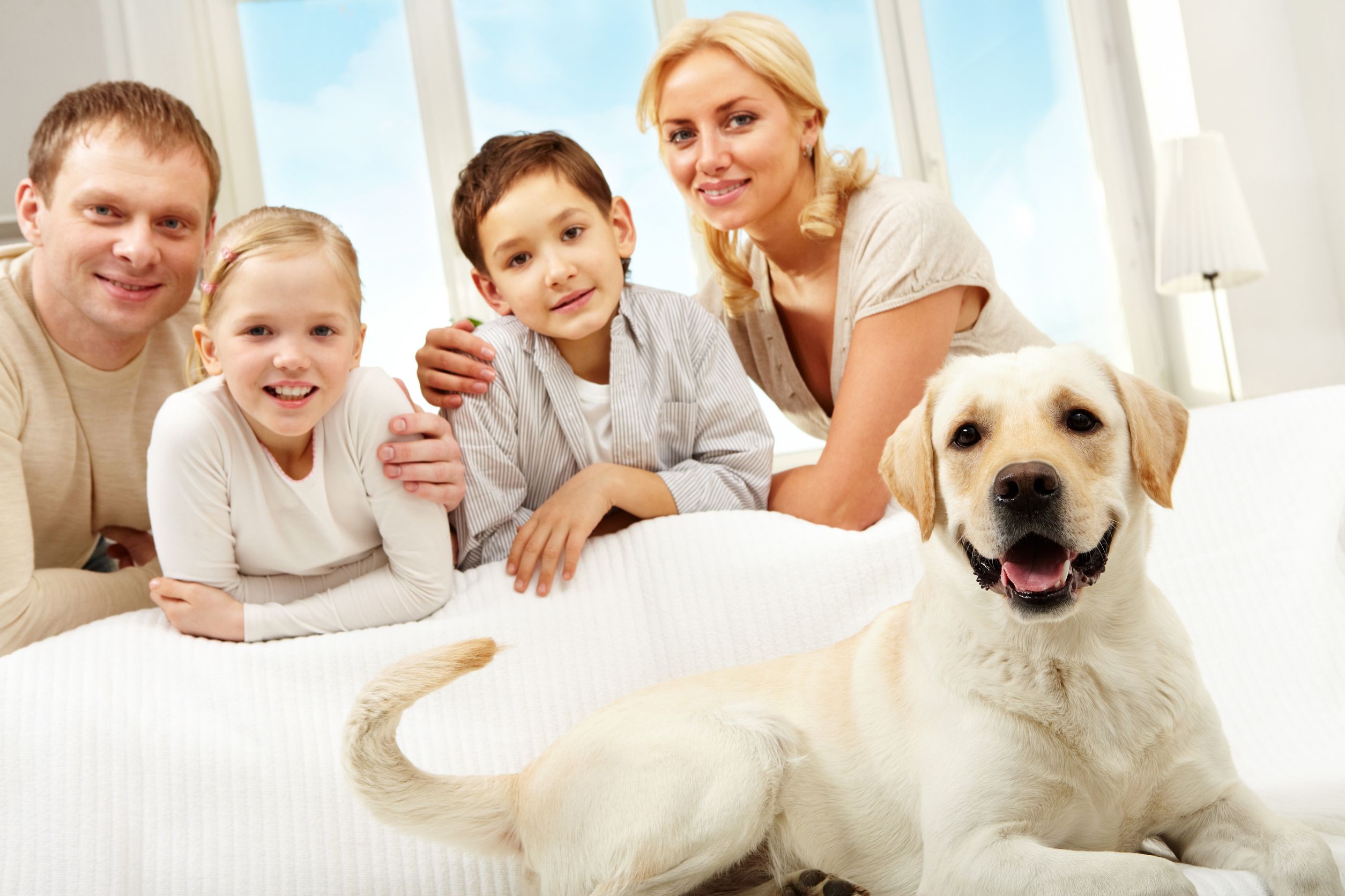 Dog Boarding Services in Lacey Twp, NJ is a Home Away From Home