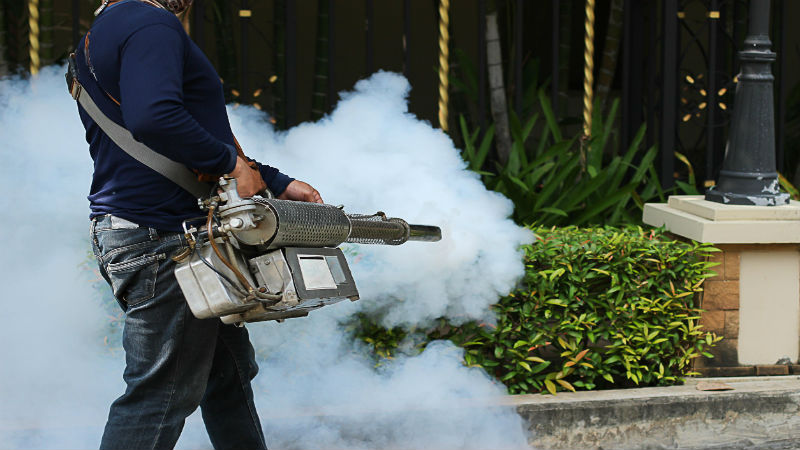 The Importance of Professional Mosquito Control Treatment in Arlington, VA