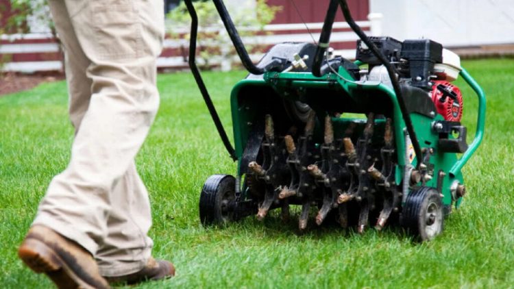 The benefits of choosing professional lawn fertilization in Germantown, TN, services