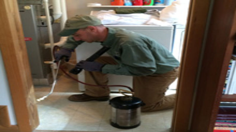 Why Hire a Pest Control Company for Spiders Control Boynton Beach Florida