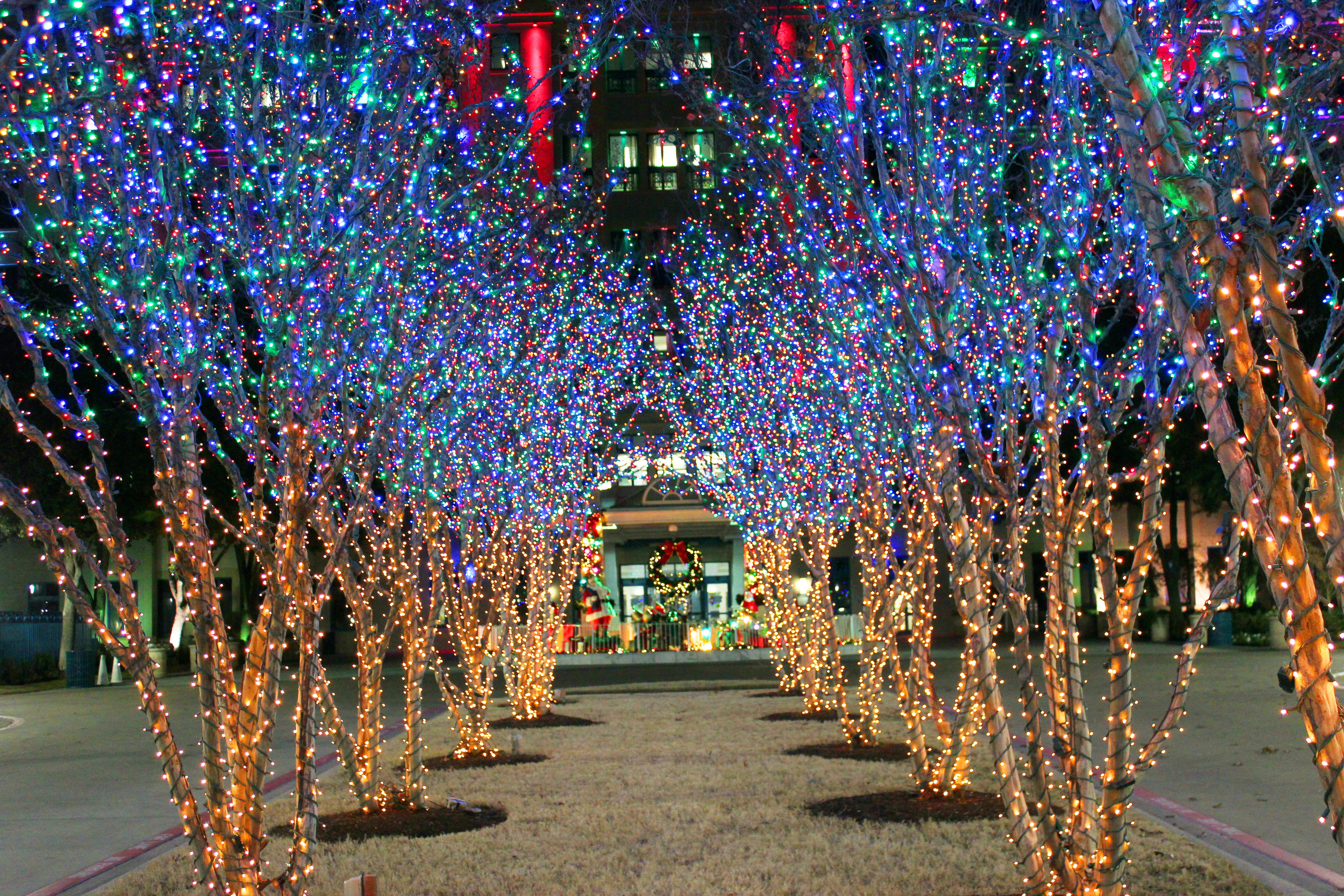 Where Can You Get Holiday Lighting Products for Your Home in Dallas, TX?