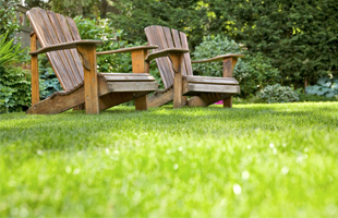 Potential Benefits of Professional Landscape Maintenance in Spokane