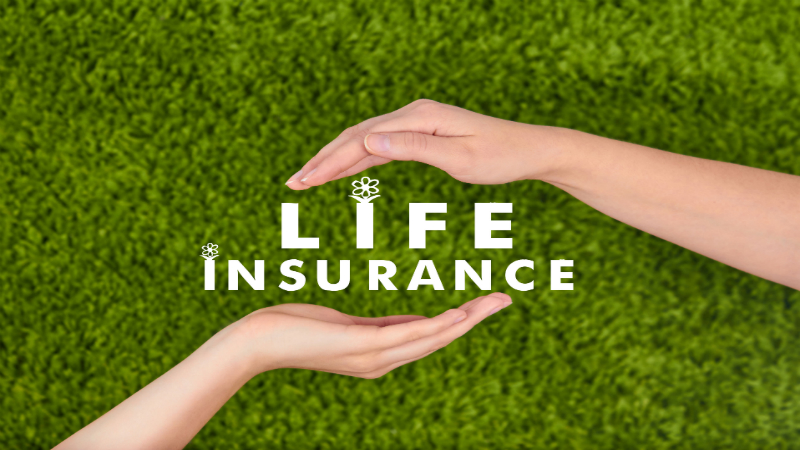 The Importance of Homeowners Insurance, Underscored