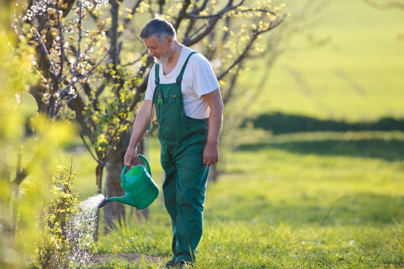 Consider Professional Landscape Maintenance in Spokane