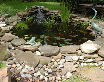 Several Benefits of Backyard Aquascapes in Waukesha, WI