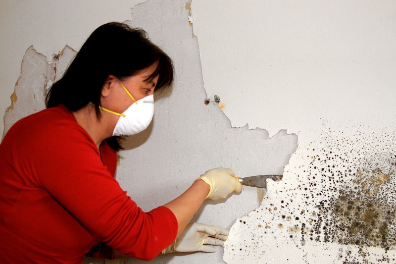 Avoid Mold Problems With Mold Prevention Service in Alexandria, VA