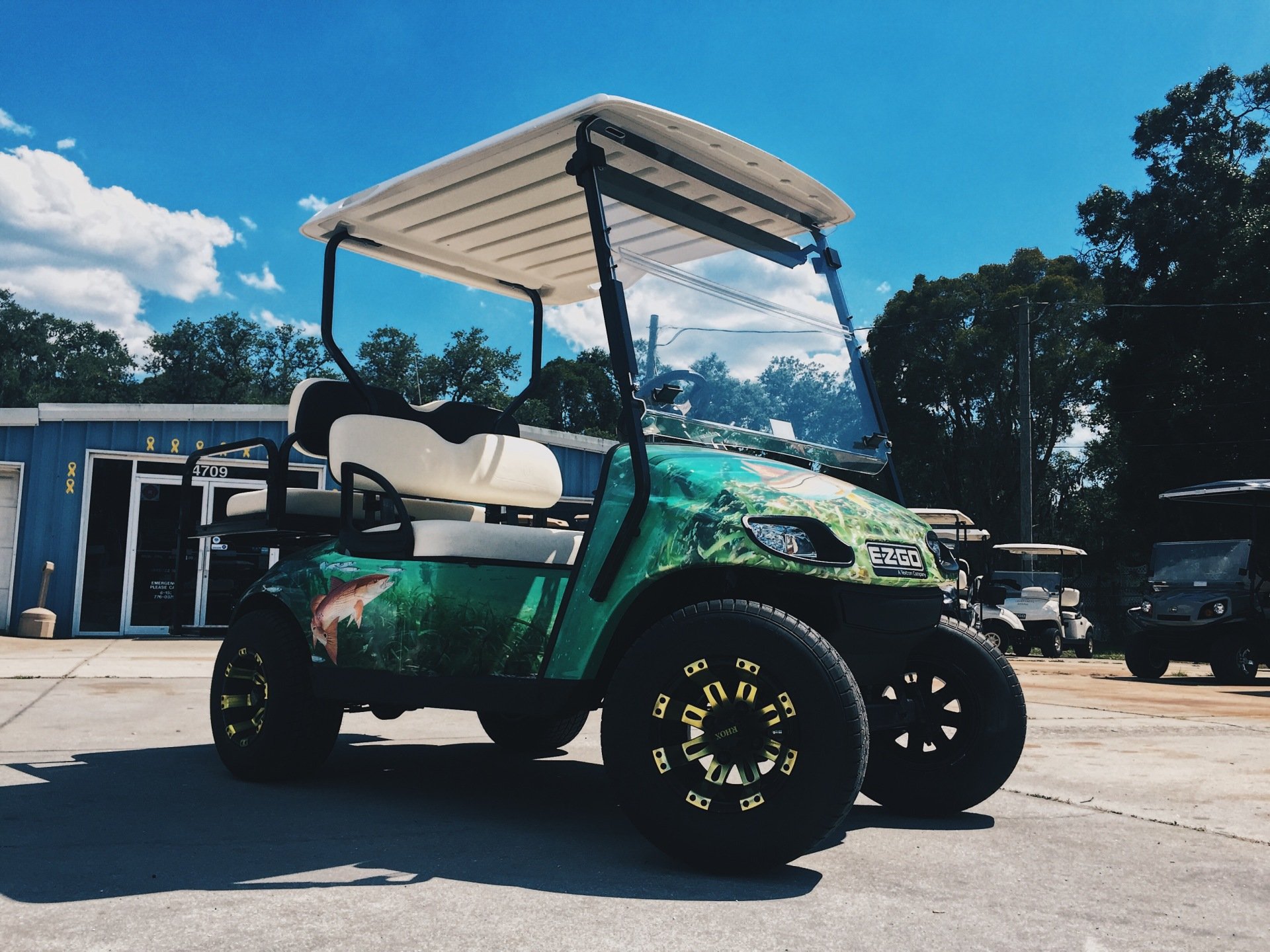 How Can Golf Cart Services in Sun City Center Help You?