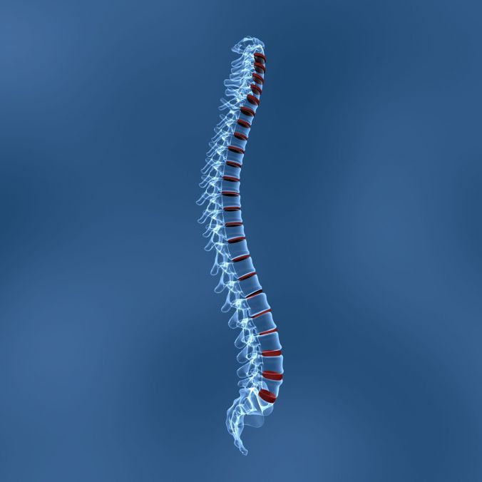 The Best At Home Tips for Dealing With Spinal Pain