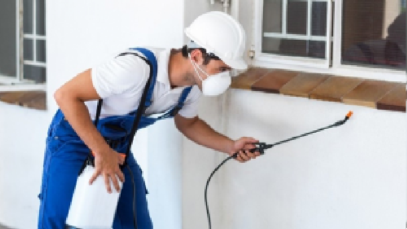 The Right Pest Inspections in Peachtree City GA Are the First Step to Becoming Pest-Free