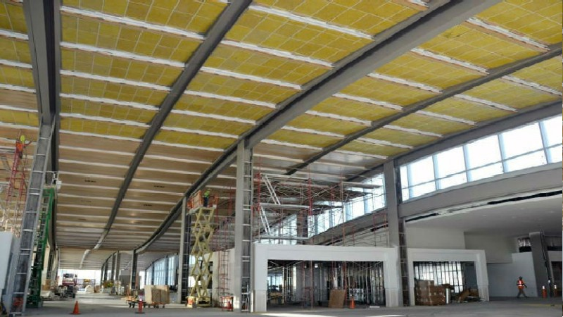 What To Do When You Find Raccoons in the Attic in NJ Safely and Legally