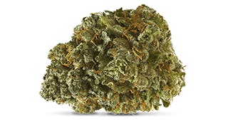 Choosing the Right Marijuana Dispensary, Find One near or in Berkeley CA