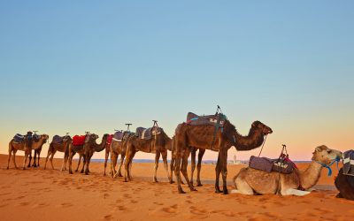 Sahara Camping for First-Timers: How to Prepare for Merzouga