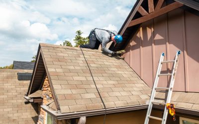 Techniques for Bat Removal in Senoia, GA