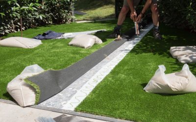 How to Choose the Best Sod Supplier in Riverside, CA