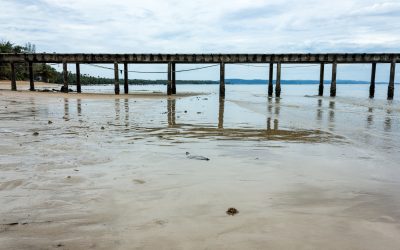 Building the Ideal Waterfront: Dock Construction in Palm Beach, FL