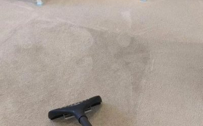 Why Carpet Cleaning in Golden CO is Essential for Homeowners