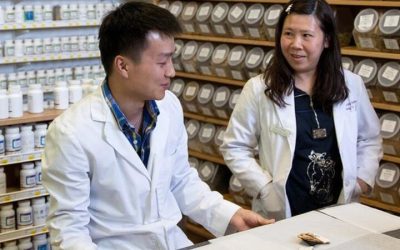 Exploring Chinese Medicine Doctorate Programs in the USA