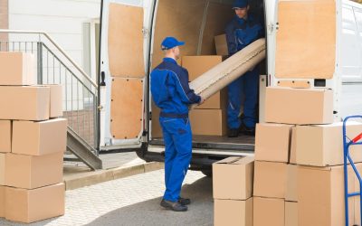 Why Removals Brighton Services are Essential for a Smooth Transition
