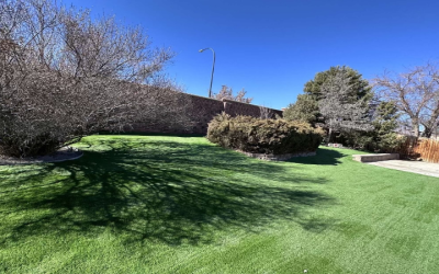 Enhance Your Yard with Artificial Turf Installation in Highlands Ranch, CO