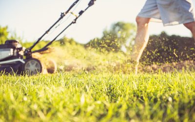 How Lawn Care Services Marion IA Improve Curb Appeal for Every Household