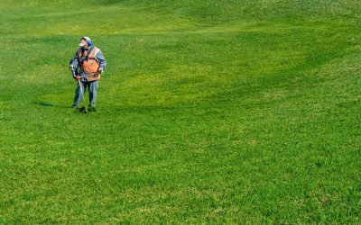 Achieve Uniform Lawns Using a Fertilizer Spreader For UTV on Your Acreage