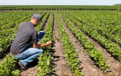 Improve Crop Yields With Agricultural Waste Removal Parker CO Services
