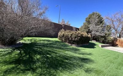 Transform Your Lawn with Artificial Turf Installation Highlands Ranch, CO