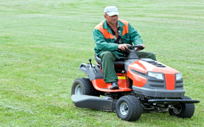 How a Lawn Care Company in Olive Branch, MS Transforms Your Yard into a Green Paradise