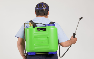 Pest Inspection Newnan, GA Essential Steps to Protect Your Home From Costly Damage