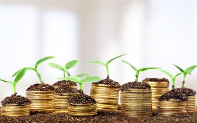 Simple ways to grow your money using a Savings Account Toledo OH