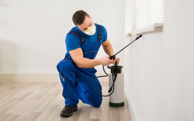 How Rodent Control Brentwood CA Prevents Costly Damage and Keeps Families Safe