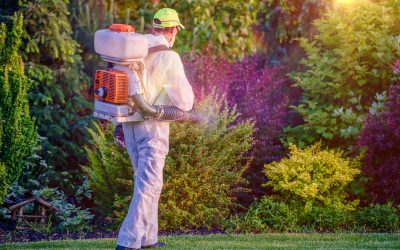 Protect your family outdoors with mosquito control in Haymarket, VA for safer summer evenings