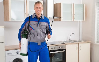 Homeowners Trust an Exterminator NJ for Fast Pest Relief and Lasting Protection