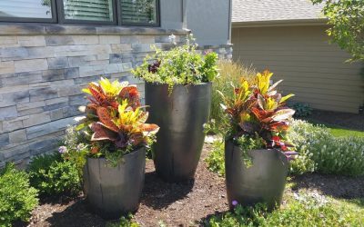 Transform your outdoor space with landscape services that Gretna, NE, homeowners trust for lasting beauty