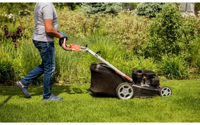 Year Round Beauty Made Easy Through Professional Landscape Maintenance Falmouth MA Offers