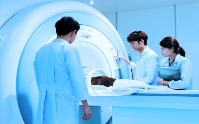 Homebound Care Is Transformed As Mobile Diagnostic And Imaging Services Bring Hospitals To You