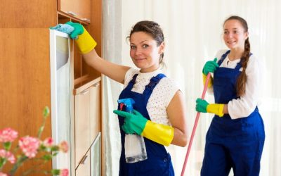 Simplify Your Routine as House Cleaners In South Elgin, IL, Handle Every Mess With Care