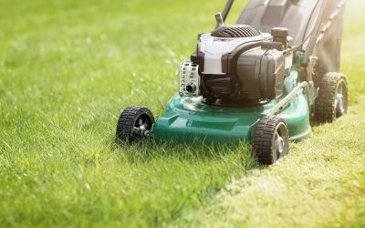 Enjoy a Greener Yard With Lawn Mowing Services Land O Lakes FL for Effortless Maintenance