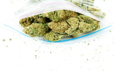 Unlock Freshness and Affordability by Shopping THCA Flower Deals Locally
