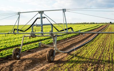 Navigating Farmland Auction Columbia City IN for Best Value and Peace of Mind